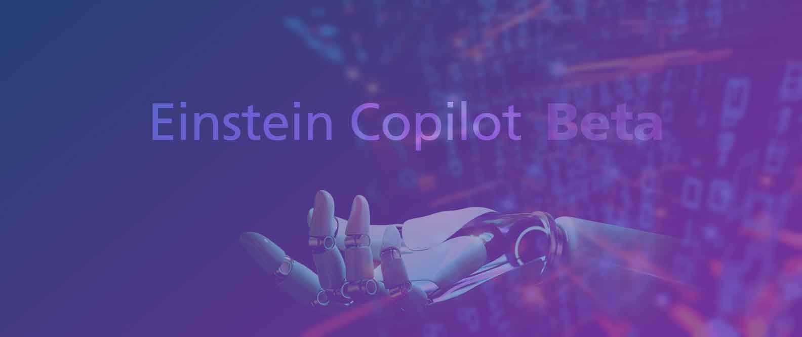 Einstein Copilot BETA